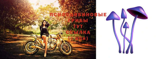 ПСИЛОЦИБИНОВЫЕ ГРИБЫ Нефтекумск