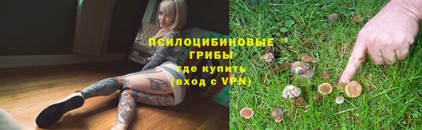 ПСИЛОЦИБИНОВЫЕ ГРИБЫ Нефтекумск