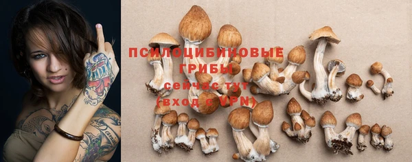 ПСИЛОЦИБИНОВЫЕ ГРИБЫ Нефтекумск
