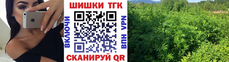магазин продажи наркотиков  Шарья  Марихуана OG Kush 